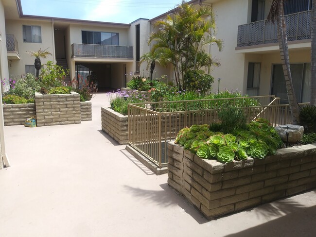 Building Photo - El Mirasol