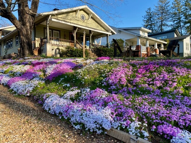 Building Photo - 9 Unaka Ave