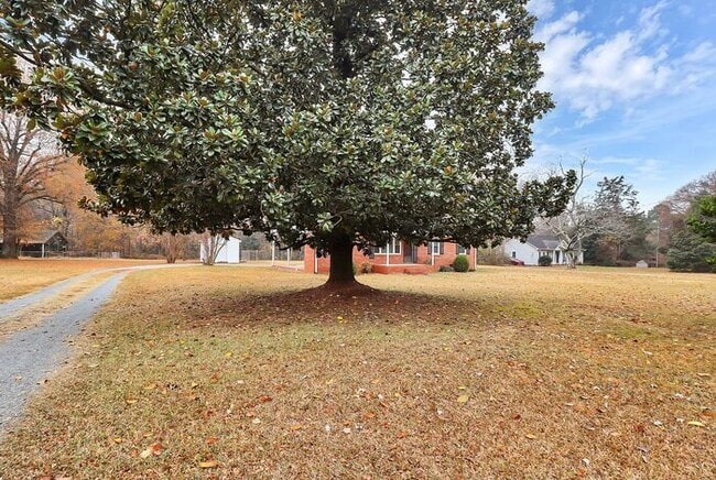 Foto del edificio - 3BD/1BA All Brick Ranch on One Acre!