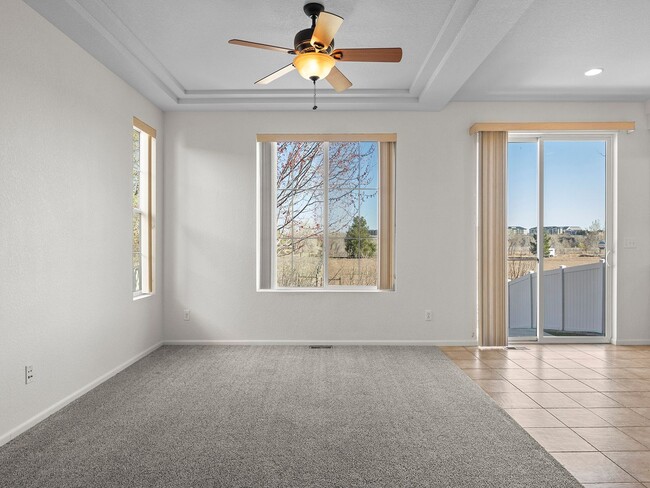 Building Photo - Gorgeous Johnstown Home with Attached Garage and Open Layout!