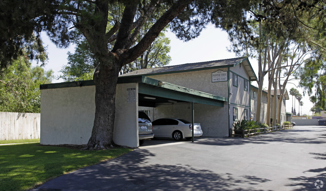 Foto principal - Pepper Tree