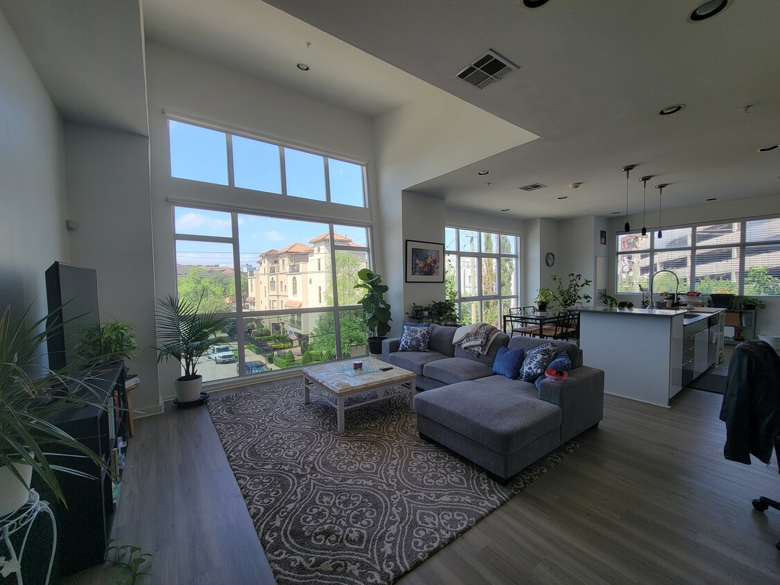 Stunning open floor plan living area with floor to ceiling windows and tons of natural light - 207 Pierce St