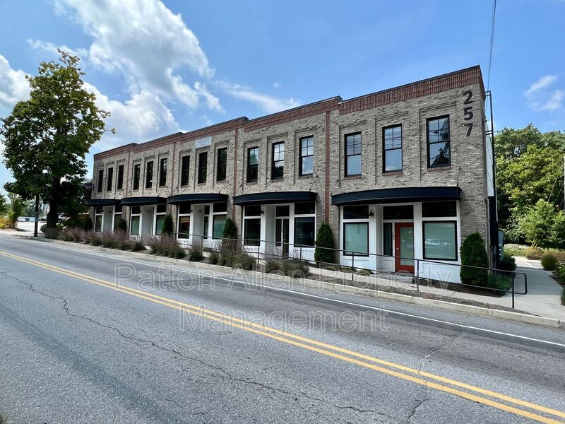 257 Haywood Rd Unit 207, Asheville, NC 28806 Condo for Rent in Asheville, NC