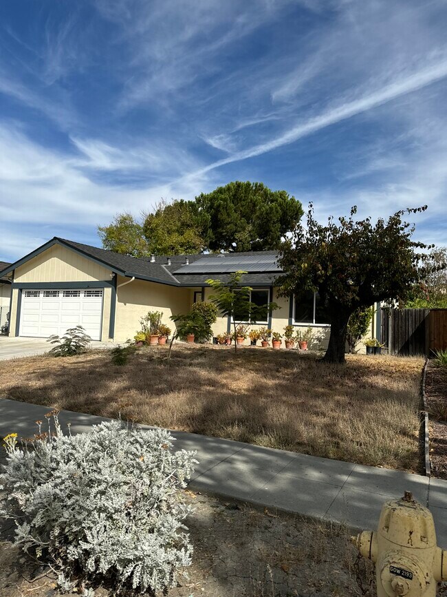 Building Photo - 379 Henderson Dr