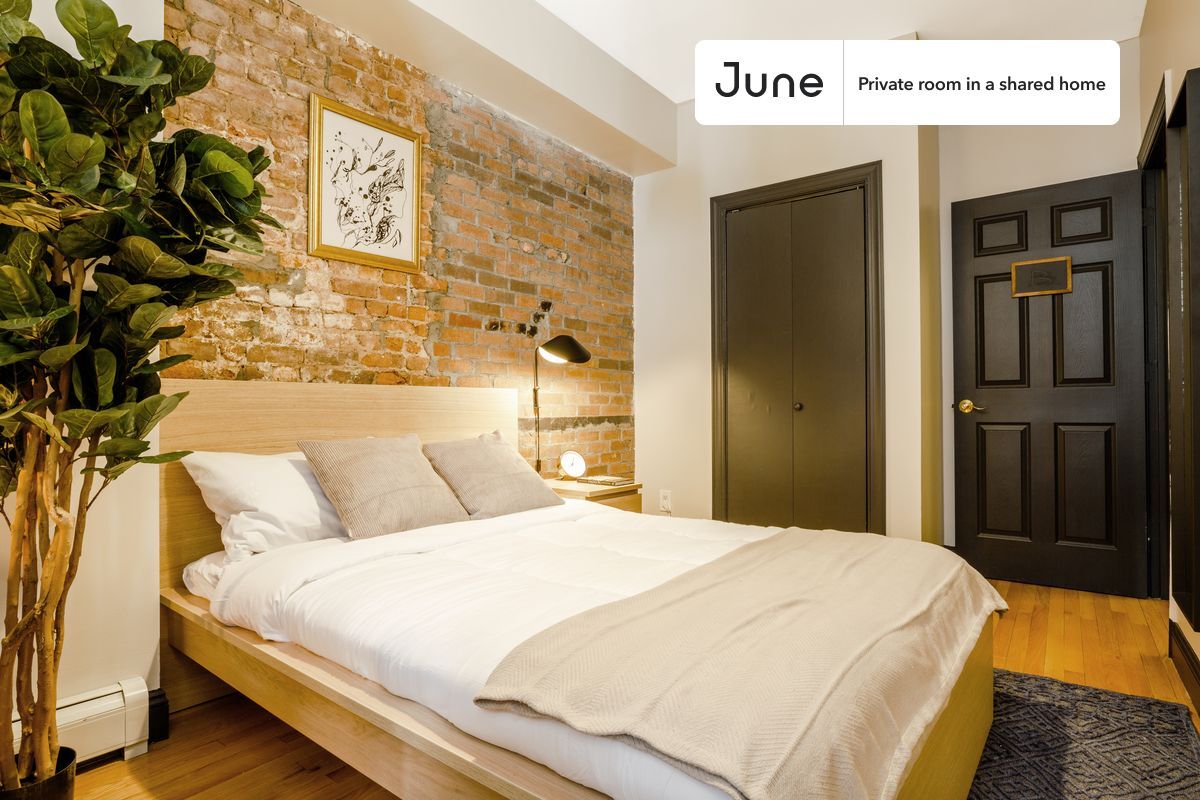 Private bedroom in 3 bed/1 bath Home - Private bedroom in 3 bed/1 bath Home