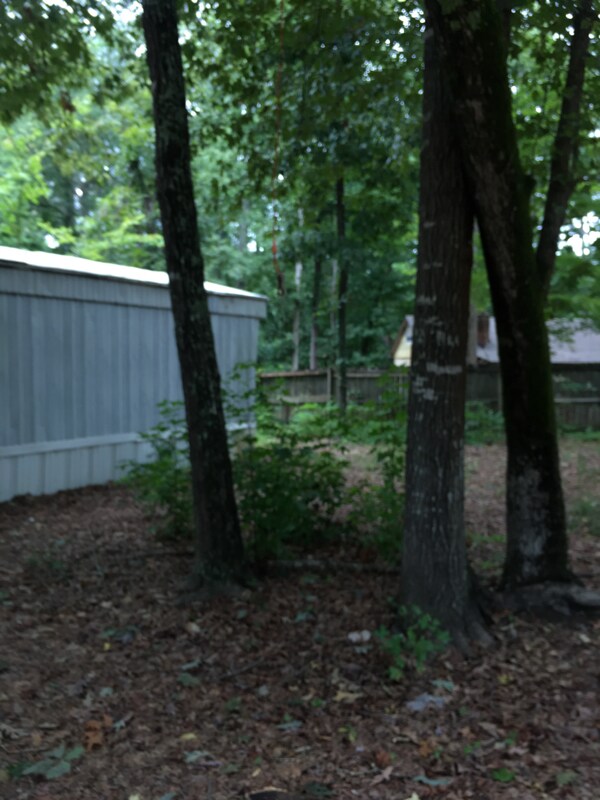 Primary Photo - 3406 Wessinger Rd