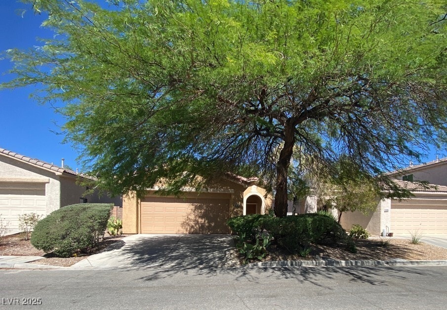 Primary Photo - 10789 Muscari Way