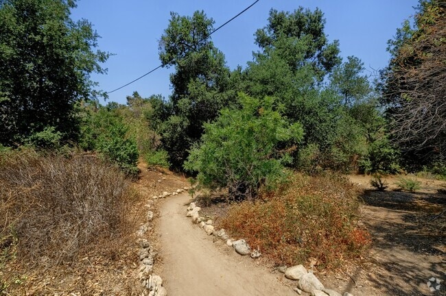 Go for a bike ride along one of the many trails in the South Pasadena neighborhood.