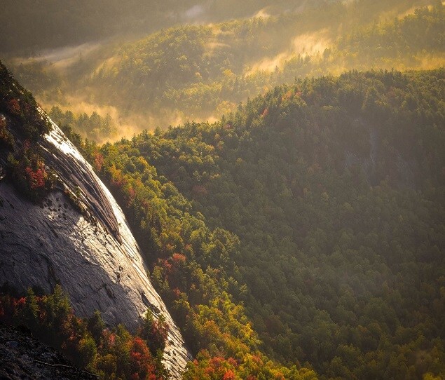 Picture of Greensboro