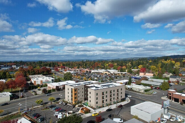 Aerial Photo - Cedar Grove Apartments