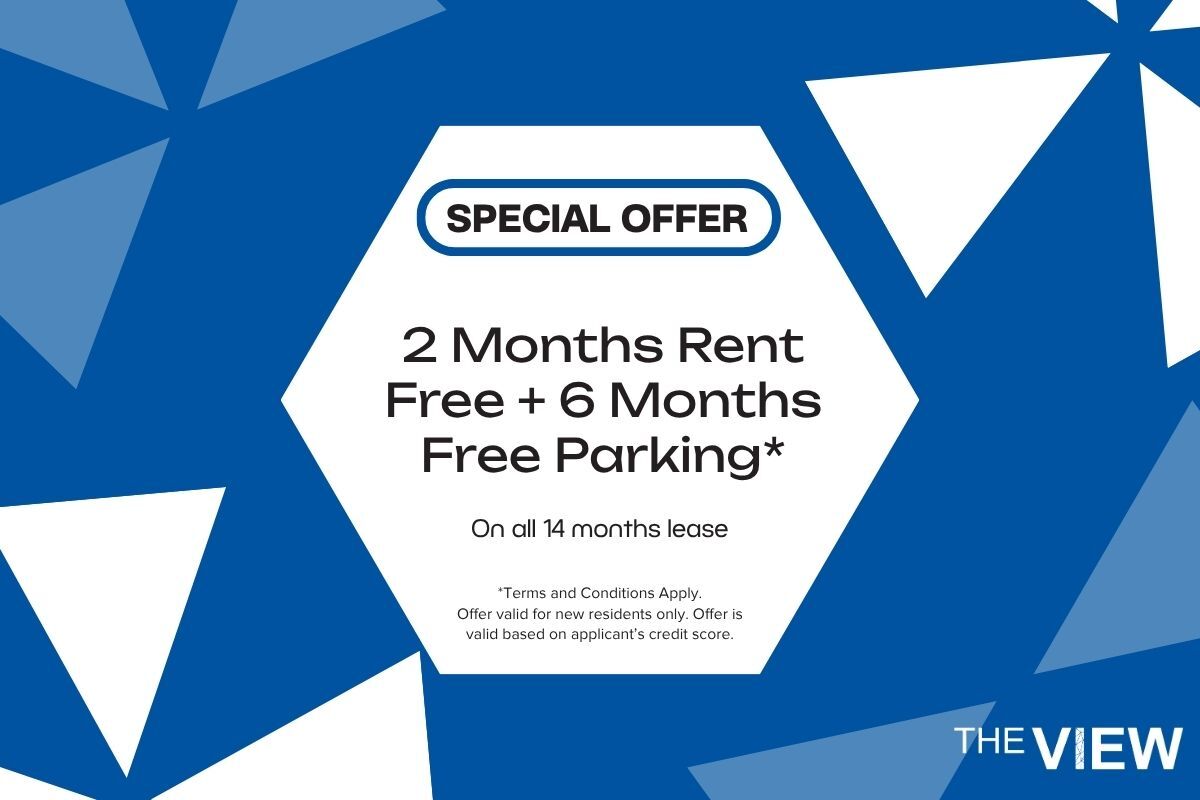 Primary Photo - The View