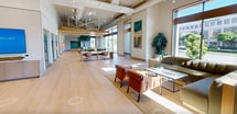 This 3,160 square foot single-story commercial space is thoughtfully designed to balance open collaborative areas with private workspaces. The layout is anchored by a expansive lounge area distinguished by a dramatic wood slat ceiling with integrated linear lighting, light hardwood flooring throughout, and floor-to-ceiling glass walls that flood the interior with abundant natural light and provide unobstructed views of the surrounding streetscape and greenery.

The main lounge features multiple seating arrangements with teal upholstered sofas, accent chairs in warm neutrals, and low coffee tables, creating a welcoming, hospitality-inspired atmosphere. A standout architectural element is the large indoor olive tree set within a circular bar-height table, serving as a natural focal point. Glass-enclosed conference rooms provide transparency while maintaining acoustic separation, and are equipped with modern furnishings suited for professional meetings.

Additional areas include a reception zone with a built-in desk, a quiet seating alcove with custom teal shelving, and private offices featuring bold geometric acoustic wall panels in teal tones with pendant lighting. Exposed concrete ceilings with track lighting in secondary zones contrast with the refined wood canopy in the main lounge, creating a dynamic and layered architectural experience throughout.