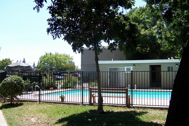 Piscina - Madison Oaks Apartments