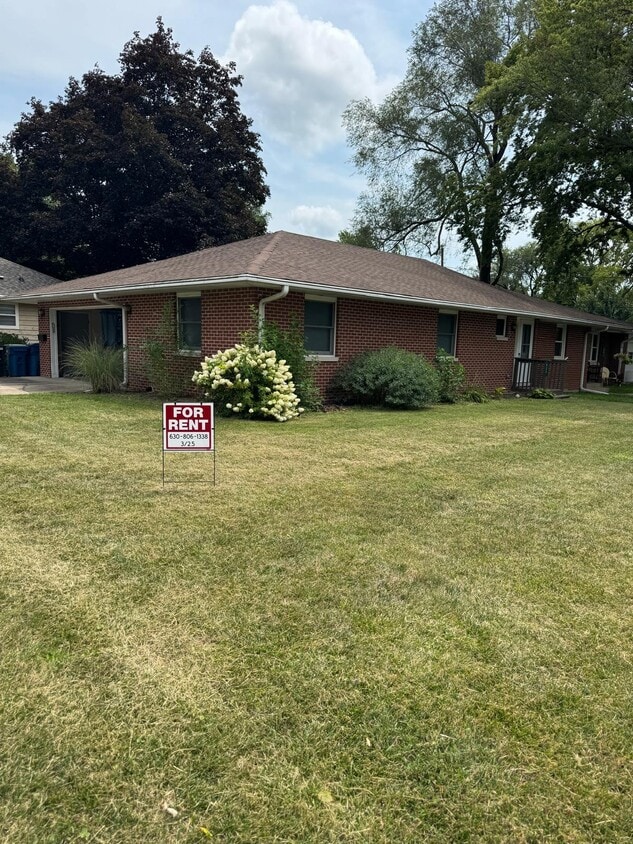 Primary Photo - 533 East St