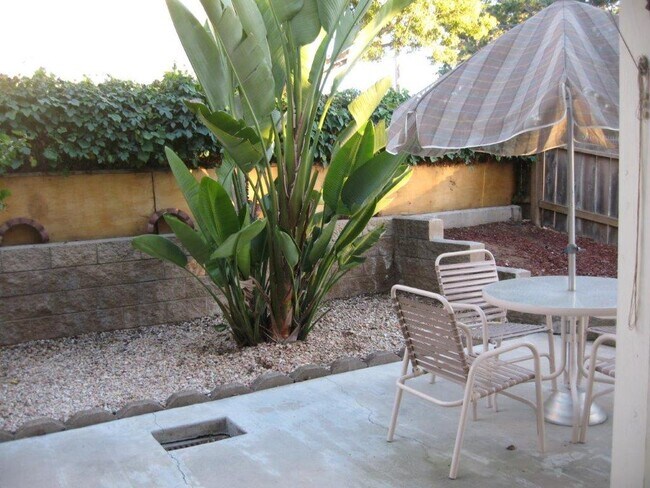 Espacio de patio trasero - 1388 Palomar Pl