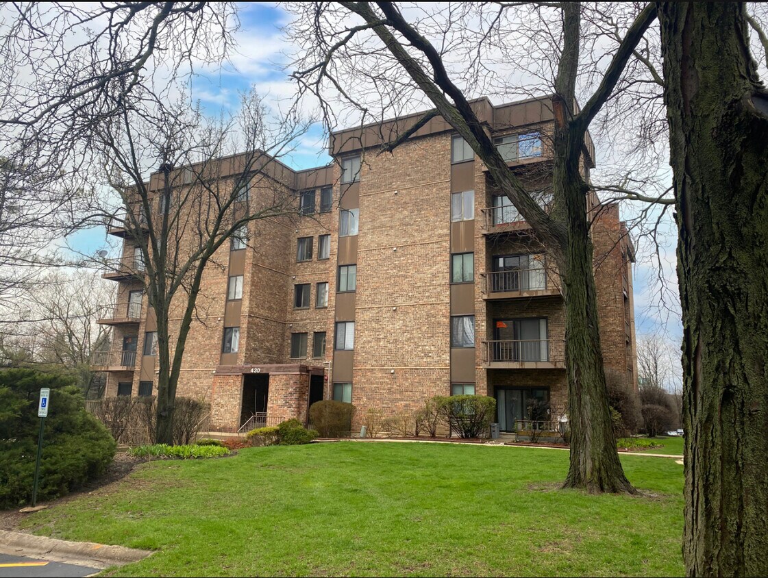 430 Walnut Creek Rd Unit 2208, Lisle, IL 60532 Condo for Rent in