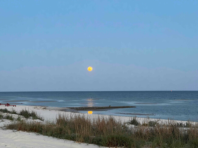 Building Photo - 2228 Beach Dr