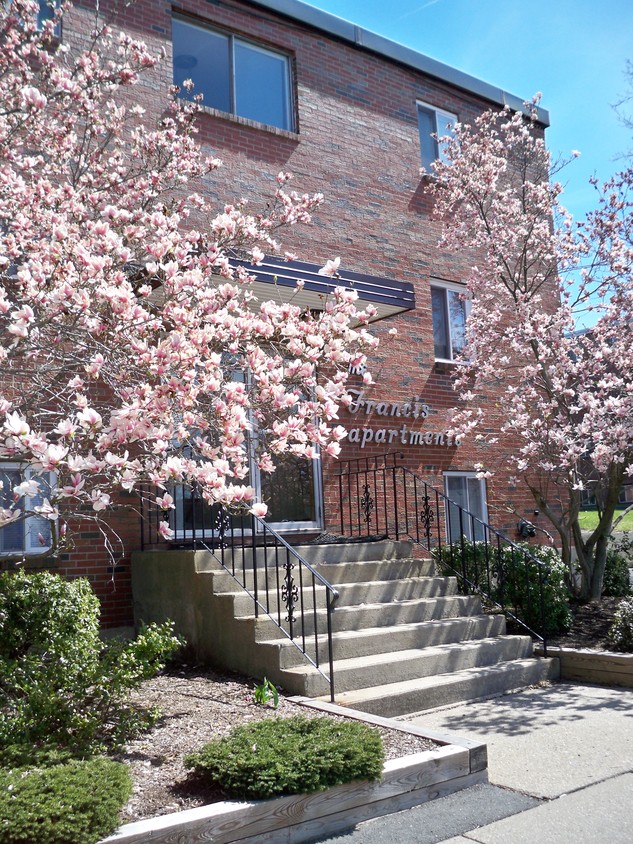 Primary Photo - Francis Apartments