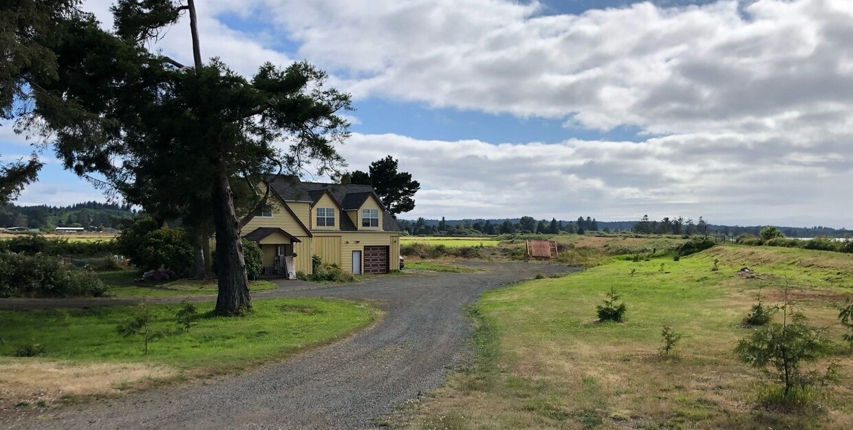 Primary Photo - The Big Yellow Farmhouse on Youngs Bay-Ava...