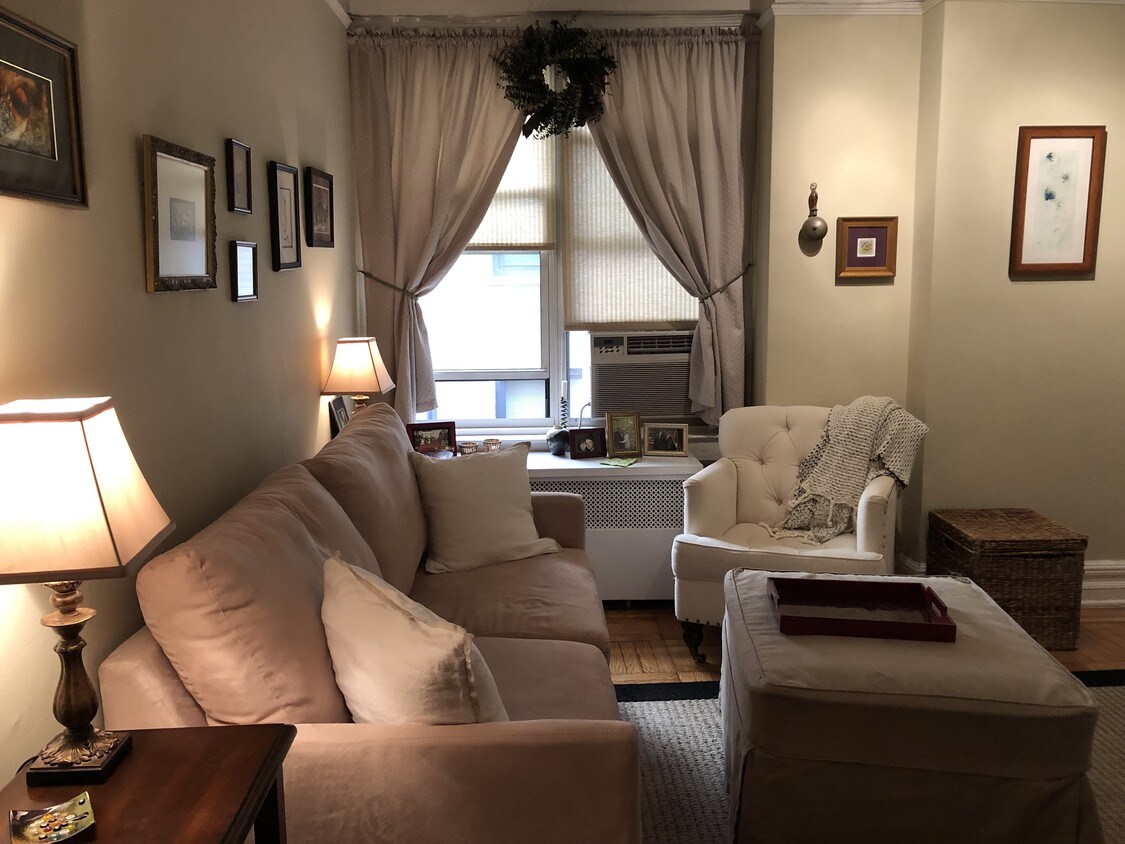 Living Room/bedroom - 309 W 104th St