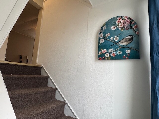 Foto del edificio - 3129 Pioneer Ave