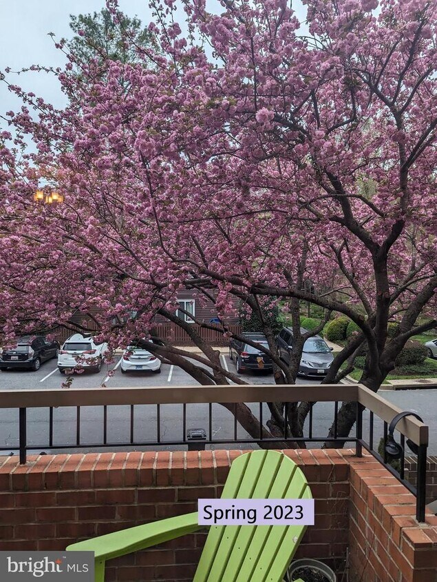 Foto principal - 10847 Whiterim Dr