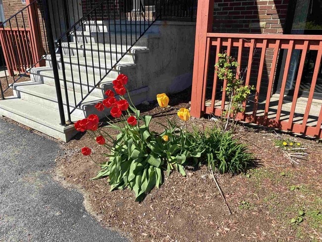 Foto del edificio - 29 Capron Rd