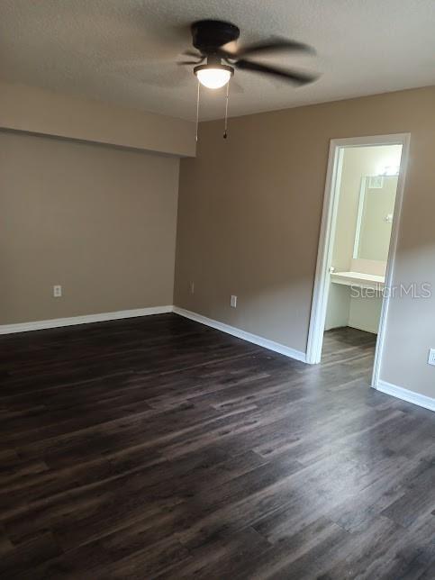Building Photo - 2817 Fan Palm Dr