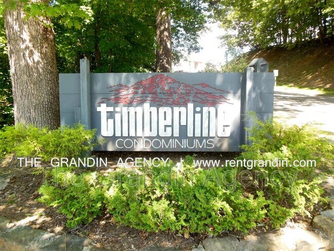 Foto del edificio - 3534 Timberline Trail