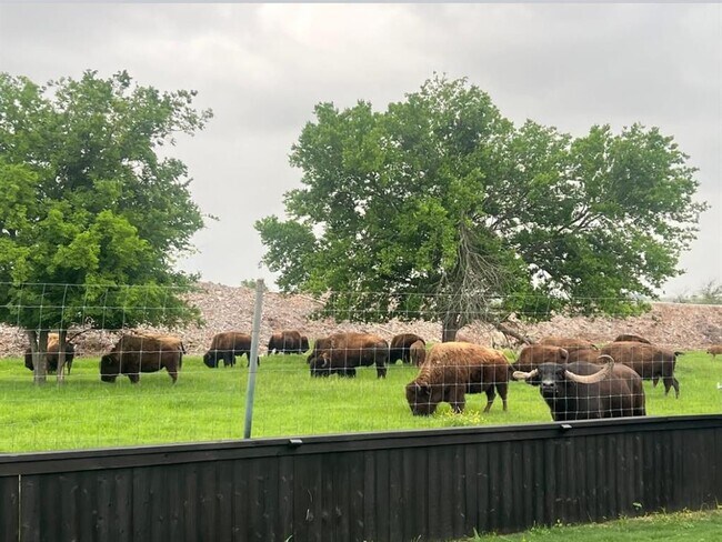 Building Photo - 11305 Sentinel Dr