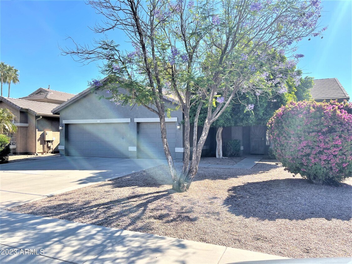 Primary Photo - 1121 S Western Skies Dr
