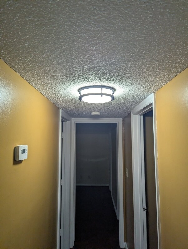 Foto del edificio - 6012 Treetop Ct