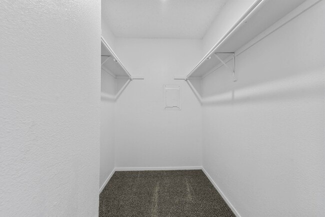 Spacious closets and storage - Stone Canyon