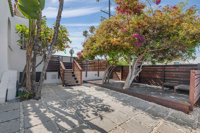 Two Mature Bougainvillea - 602 Maltman Ave