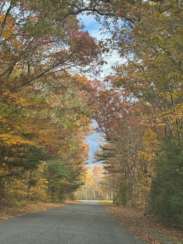 Primary Photo - 86 Buff Cap Rd