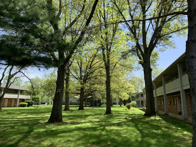 Foto del edificio - Park Manor Apartments