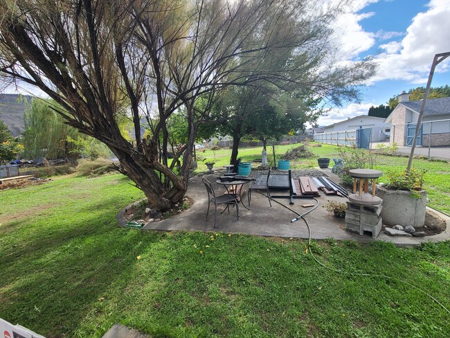 this is our back yard - 855 Grant Rd