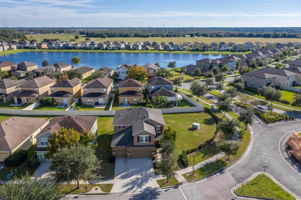 Primary Photo - 10105 Celtic Ash Dr