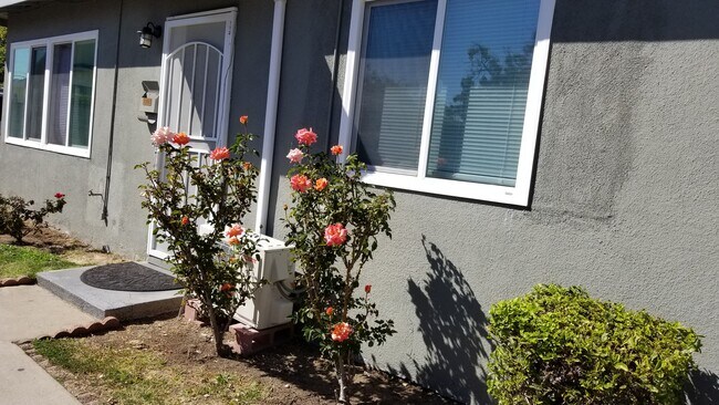 Foto del edificio - 1103 S Olive Ave