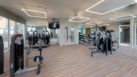This expansive fitness center is thoughtfully organized into distinct functional zones, providing a comprehensive workout environment across a single, open floor plan. The space is finished with a combination of wood-look plank flooring in the cycling and stretching areas and multi-toned striped carpet throughout the main training zones, lending a clean, modern aesthetic throughout.

The cardio zone features treadmills, ellipticals, stair climbers, and stationary bikes arranged alongside large windows that frame outdoor views of palm trees and surrounding buildings, filling the space with abundant natural light. Motivational typography murals rendered in a textured, stone-like finish accent multiple walls, reinforcing the facility's energetic atmosphere.

A dedicated cycling studio is enclosed by floor-to-ceiling glass partitions, housing a row of spin bikes, ceiling fans, wall-mounted televisions, and full-length mirrors. Adjacent to this, a functional training area accommodates stability balls, resistance equipment, and free weights.

The strength training zone is well-stocked with cable machines and selectorized equipment, illuminated by geometric linear LED lighting fixtures recessed into white ceilings. A service counter area with built-in cabinetry and artistic wallcovering provides a reception or amenity station. Glass partitions throughout maintain visual connectivity while defining each training zone.