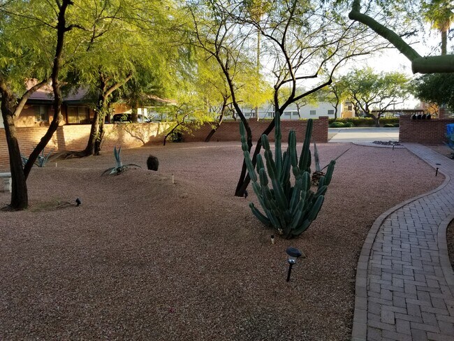 Brick path to unit on Landscaped Double Lot - 922 E Coronado Rd