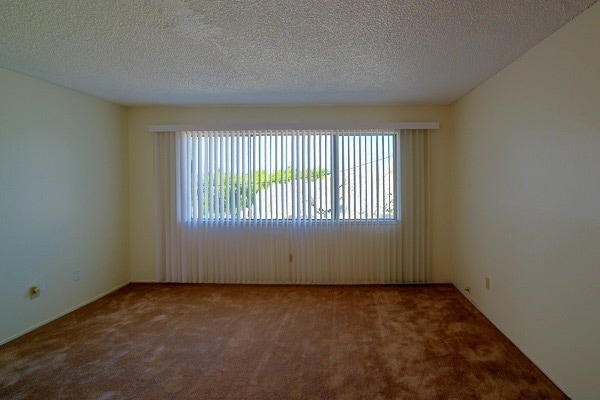 Apartment J - Living Room - 3101 Mabel St