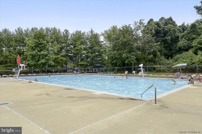 Building Photo - 8063 Newcomb Ct