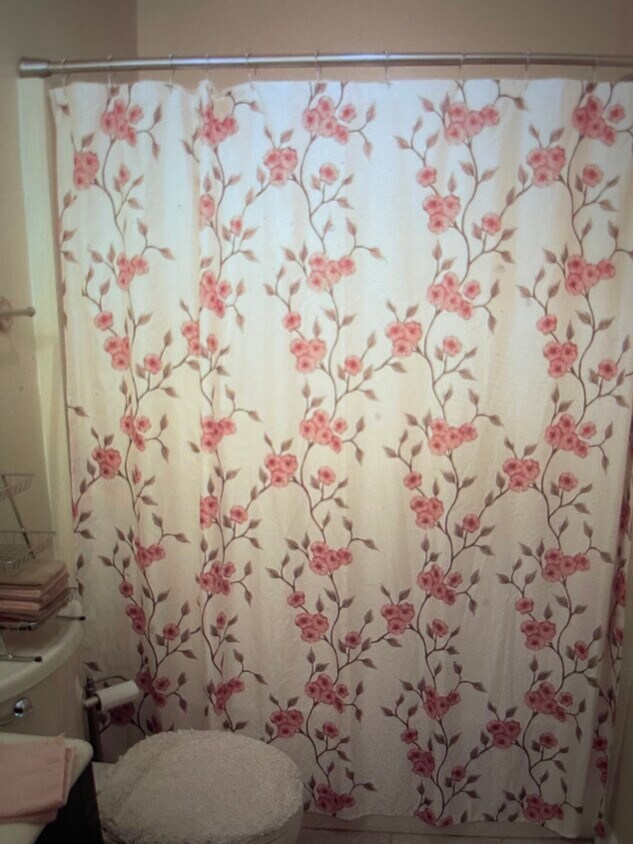 245 Alpine Dr Unit 245, Bristol, VA 24201 Condo for Rent in Bristol