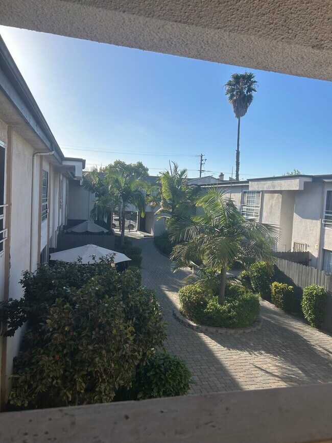 Patio - Palm Terrace