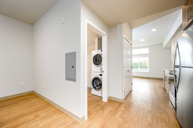 Interior Photo - Modern Studio, One, and Two-Bedroom Apartm...
