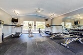 This fitness room offers a thoughtfully designed workout environment spread across a single, open floor plan. The space features vaulted ceilings that lend an airy, expansive feel, complemented by multiple ceiling fans and track lighting that ensure both comfort and visibility throughout. A decorative horizontal stripe in muted blue runs along the grey walls, adding a clean, athletic aesthetic to the interior.

Natural light pours in through several large windows overlooking outdoor greenery, creating an inviting atmosphere for exercise. A full-length wall mirror on one side visually expands the space and assists with form during workouts. Durable rubber flooring with interlocking mat sections covers the entire area, providing traction and cushioning for a variety of exercises.

The fitness room is outfitted with a comprehensive selection of equipment, including multiple treadmills, an elliptical trainer, a stationary recumbent bike, and a cable weight machine. A fully stocked dumbbell rack lines one wall, accompanied by adjustable weight benches. Stability and medicine balls are neatly arranged near the windows, while exercise mats provide dedicated stretching and floor workout zones. A wall-mounted television adds entertainment for cardio sessions. The space is accessed through a glass-paneled door and includes a wall-mounted fan for additional ventilation, making it a complete and functional fitness facility.