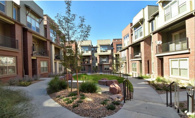 Foto del edificio - 523 Primrose Ln