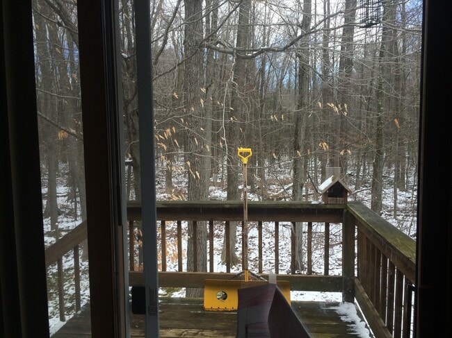 Building Photo - 3590 S Timber Trl
