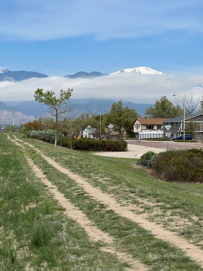 Photo - 4797 Live Oak Dr Townhome